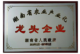 榮譽(yù)資質(zhì)