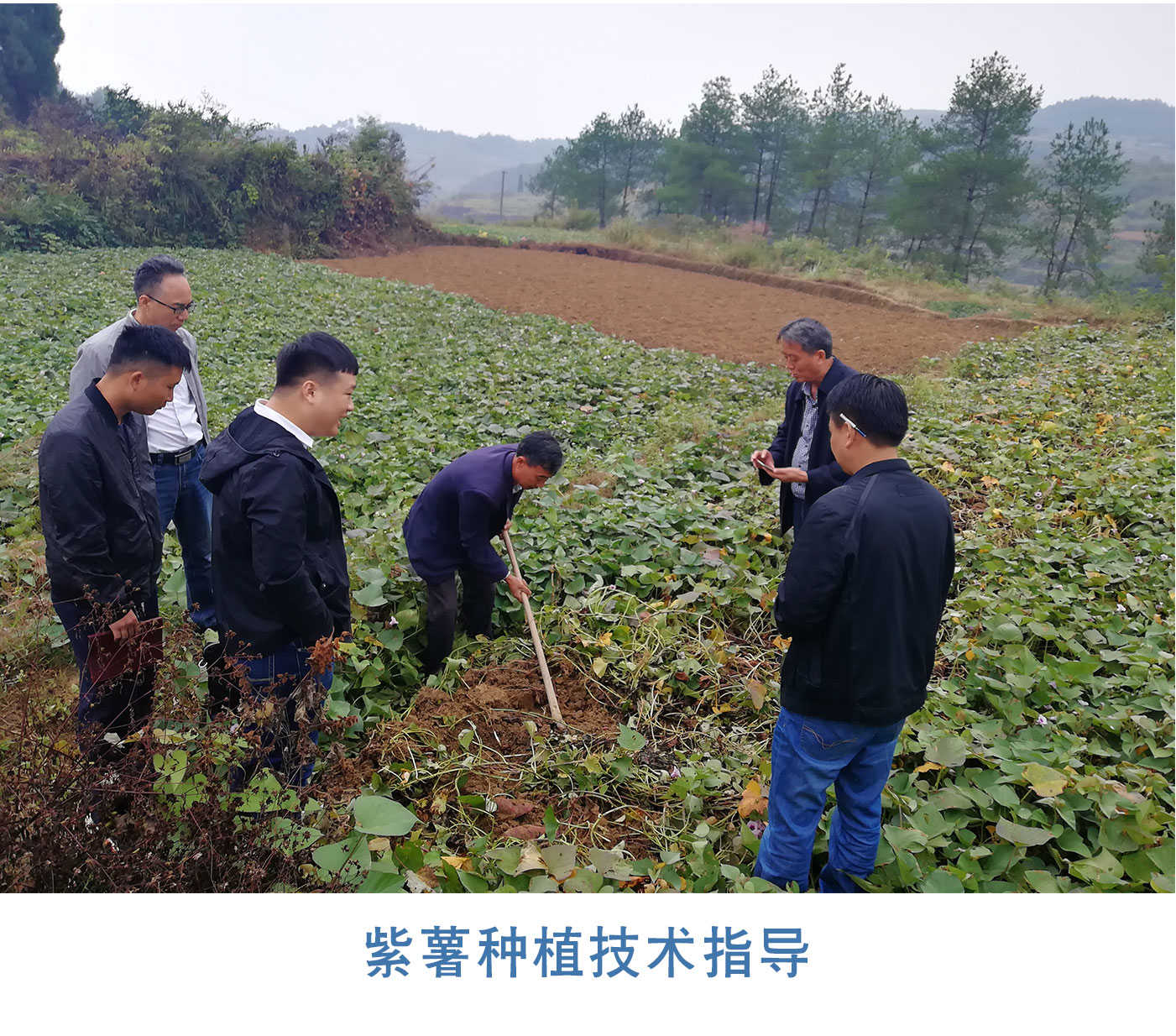 產(chǎn)業(yè)帶動