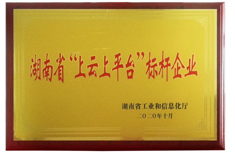 湖南省“上云上平臺(tái)”標(biāo)桿企業(yè)