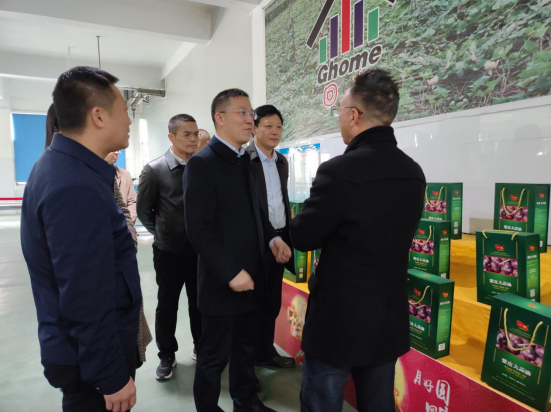 市委常委、組織部部長、統(tǒng)戰(zhàn)部部長龔紅果蒞臨天香生物調(diào)研