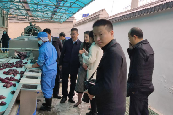 市委常委、組織部部長、統(tǒng)戰(zhàn)部部長龔紅果蒞臨天香生物調(diào)研