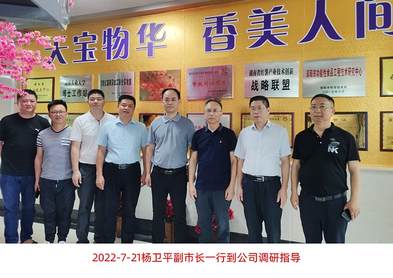 楊衛(wèi)平副市長一行到公司調研指導