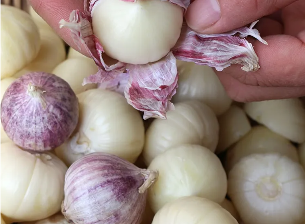 邵陽諸多農特產的發(fā)源地 關于家鄉(xiāng)的雪峰山你了解多少？