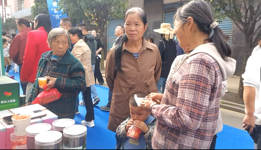 第二屆湖南（廉橋）中醫(yī)藥產(chǎn)業(yè)博覽會(huì)